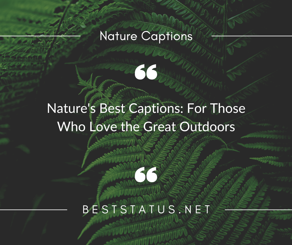 Capturing the Beauty of Nature: Perfect Instagram Captions